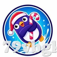 安全登录器